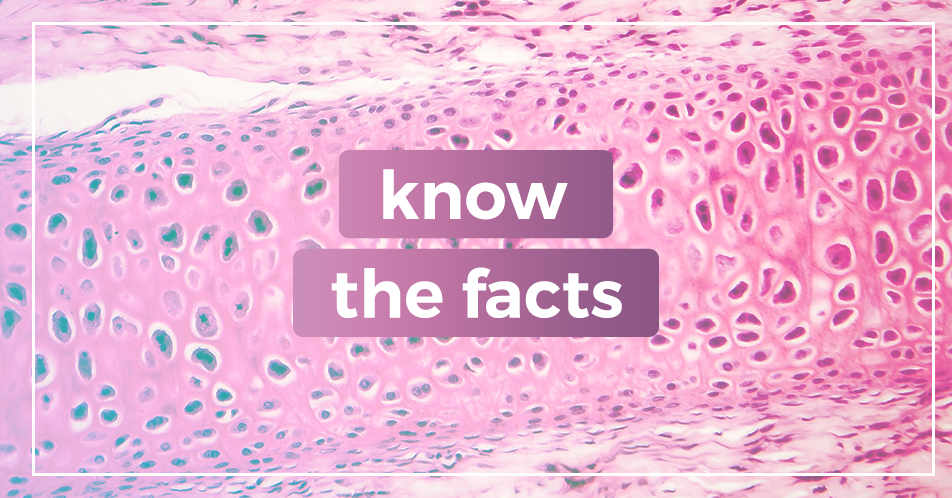 Know The Facts